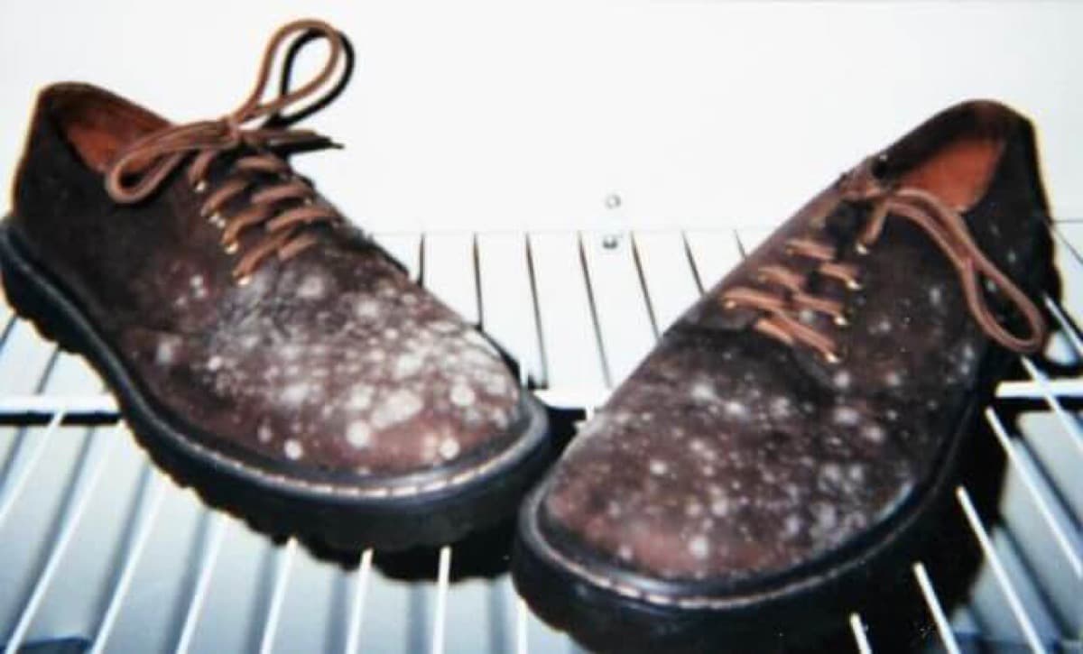 Mold Prevention Strategies: How to Prevent Mold on Products