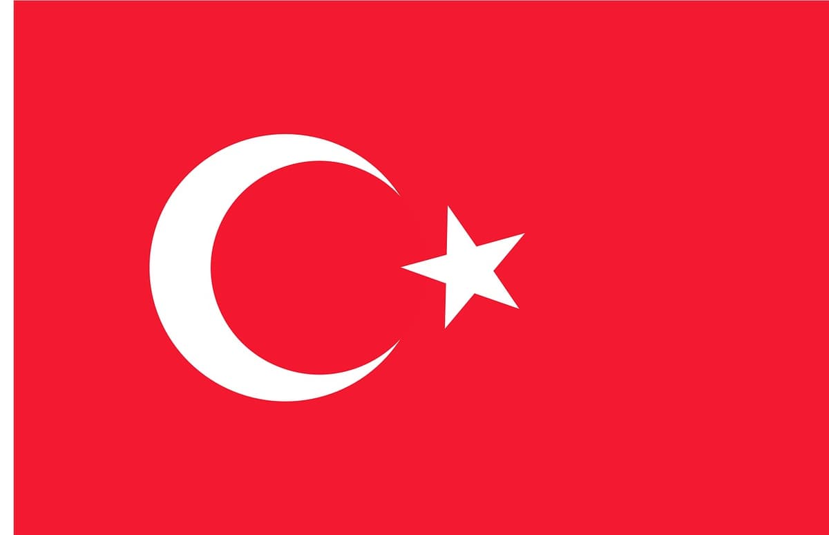 Pre-Customs Clearance Inspection (Previo en Origen) in Turkey