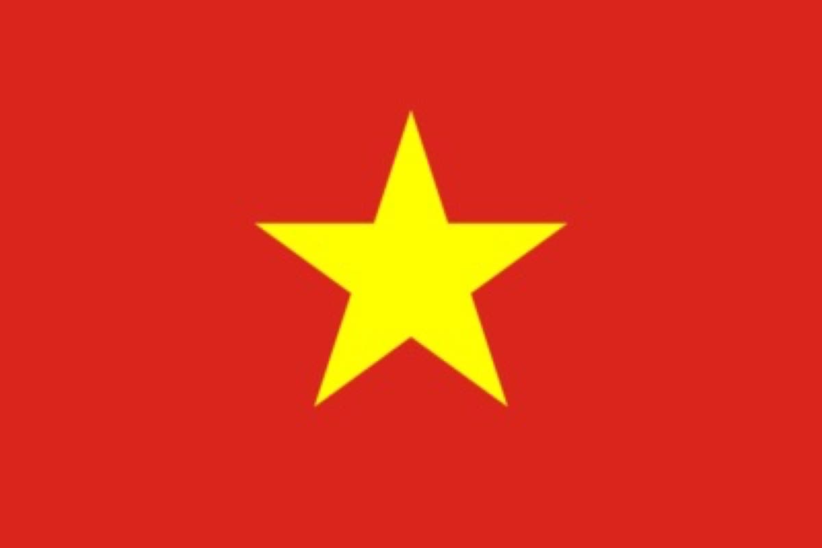 Containerverladekontrolle in Vietnam